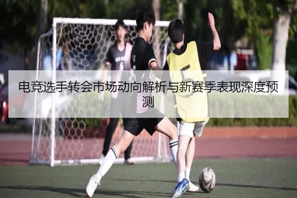 电竞选手转会市场动向解析与新赛季表现深度预测